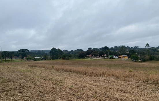  Excelente Terreno em Mandirituba 24.200m2