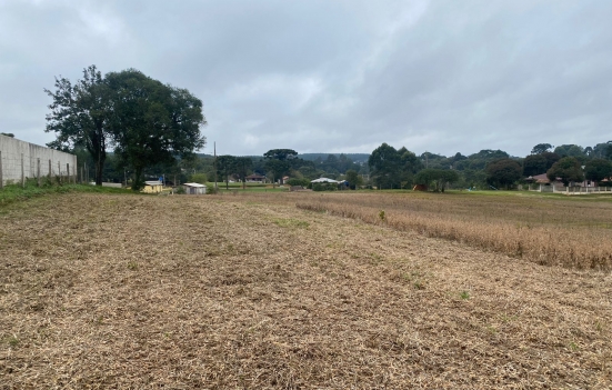  Excelente Terreno em Mandirituba 24.200m2