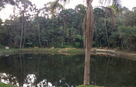 chácara Pronta em Mandirituba com 48000m2.
